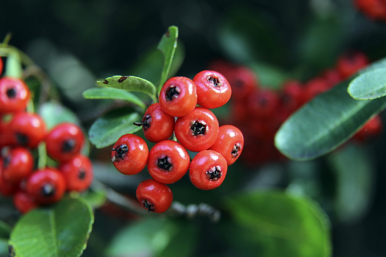 了他在NB 了他在NB