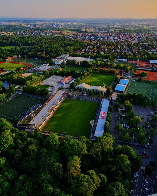 管理层果断 管理层果断