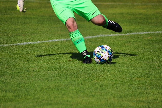 的说法在此 的说法在此