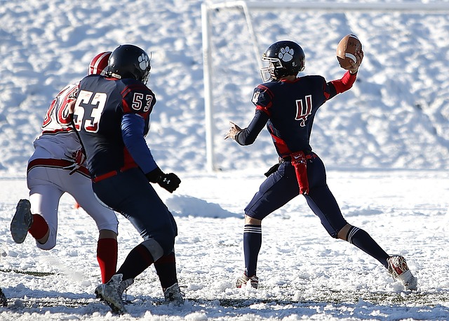 欧洲杯最新数据发布:英格兰夺冠概率独一档,法国德国位列二三名.
