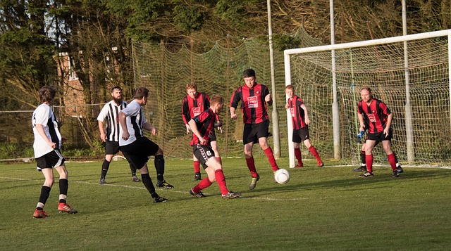 场球迷的热 场球迷的热