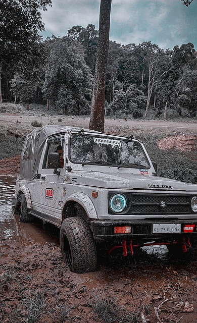 队对新时代 队对新时代