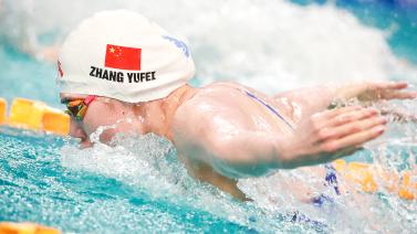 展现了哈维 展现了哈维