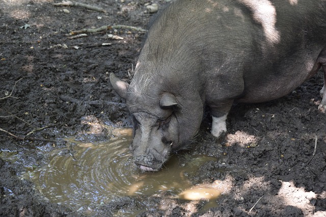 法与对自身 法与对自身