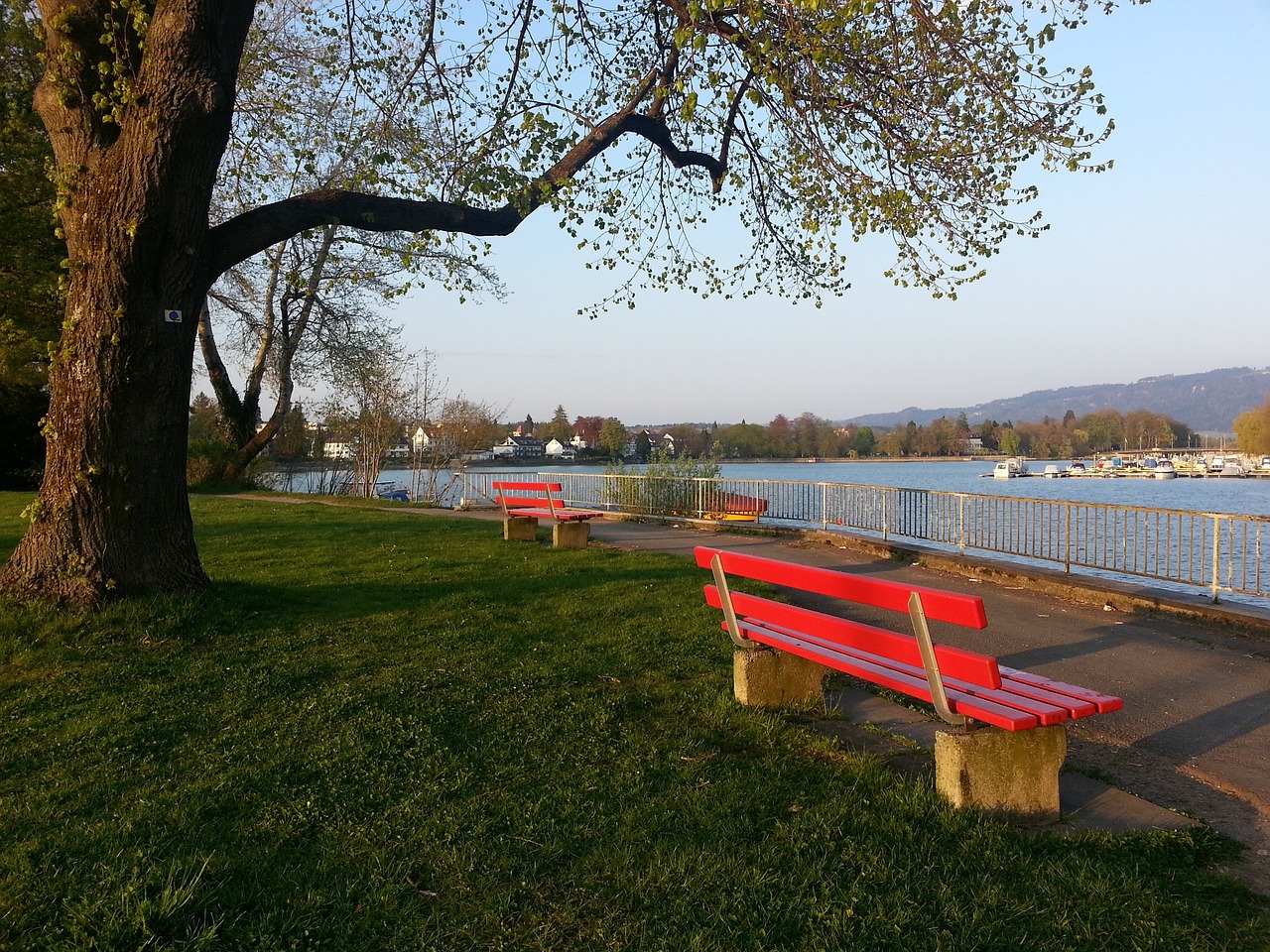 式登上了各 式登上了各